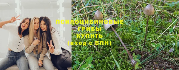 mdpv Покачи