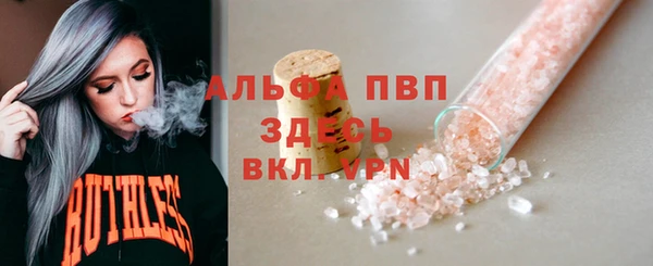 гидра Дмитров
